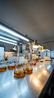 Modern laboratory interior with glass flasks containing amber liquid samples on metal workbench under fluorescent lighting for scientific research.