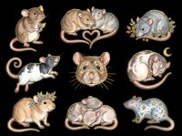 Cute watercolor rats and mice clipart set, isolated on transparent background. Great for stickers, t-shirt design, print on demand, sublimation, and scrapbooking.