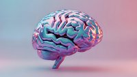 Holographic brain with iridescent surface on gradient background for neuroscience, psychology, artificial intelligence and medical technology concepts.