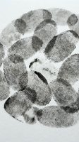 Multiple fingerprints arranged in circular pattern on white background, forensic identification and criminal investigation concept for law enforcement and security applications.