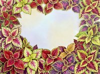 Colorful foliage border frame with red, purple, and yellow leaves on white background, isolated design element for invitations, cards, and decorative projects.