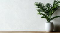 Minimalist interior with areca palm in white ceramic pot against light textured wall, empty wooden surface creates modern zen atmosphere for design layouts.