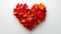Heart shape made from vibrant red and orange autumn maple leaves arranged on white background, creating romantic seasonal decoration for fall designs.