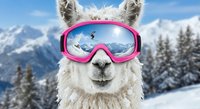 Funny white llama wearing pink ski goggles in snowy mountain landscape with alpine trees and blue sky for winter sports and humor concepts.