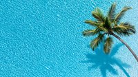 Aerial view of lone palm tree casting shadow over crystal clear turquoise ocean water with rippling wave patterns, tropical paradise scenery for travel and vacation concepts.
