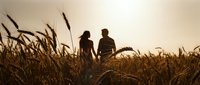 Romantic couple silhouettes holding hands walking through golden wheat field at sunset creating intimate moment in rural countryside landscape.