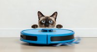 Siamese cat peeking over blue robotic vacuum cleaner on floor against white wall background, curious pet observing smart home cleaning device.