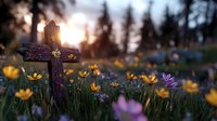 Wooden cross in wildflower meadow at sunset with yellow buttercups and purple flowers. Spiritual spring nature scene with forest silhouettes in background.