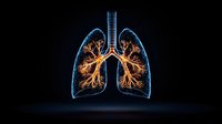 Glowing blue and orange anatomical lungs with bronchial tree structure illuminated against dark background, medical visualization showing respiratory system detail.