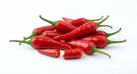 Fresh red chili peppers isolated on white background for culinary and cooking designs. Hot spicy vegetables with green stems ready for recipe preparation.