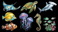 Colorful ocean creatures set isolated on transparent background, including stingray, turtle, shark, fish, jellyfish, seahorse, and coral. Ready for stickers, clipart, and t-shirt design.