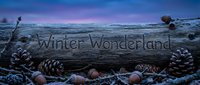 Frost-covered log engraved with Winter Wonderland text, surrounded by pine cones and acorns at twilight with purple sky.