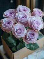 Lavender roses bouquet with lush petals arranged in a kraft paper wrapper, featuring soft purple blooms with green foliage, suitable for weddings, celebrations, and floral design projects.