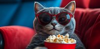 Grey cat wearing red sunglasses sitting on red couch with bowl of popcorn, watching movie or TV. Entertainment and humor concept for pet lifestyle and leisure.