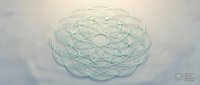 Tangled green thread ball on white surface, abstract concept for confusion, complexity, and problem-solving in business and design projects.