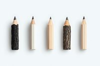 Natural and processed wooden pencils arranged in row showing contrast between raw tree bark texture and smooth manufactured wood on white background, minimal design concept.