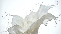 Milk splash with dynamic flowing motion and droplets on white background for dairy product advertising and beverage marketing campaigns.