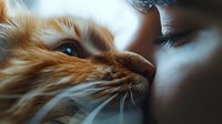 Close-up of orange tabby cat and human sharing intimate bonding moment with gentle touch, showcasing pet-owner relationship and unconditional love between species.