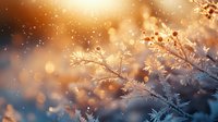 Delicate frost crystals on winter branches with magical golden bokeh lights and falling snow creating dreamy seasonal atmosphere. Perfect for holiday designs.