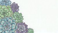 Colorful succulent plants arrangement with green blue and purple tones on light background for botanical design projects and natural decoration concepts.