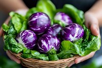Fresh purple and white striped eggplants in wicker basket with green lettuce leaves, held by hands against dark background. Organic farm produce.