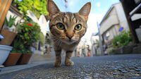 Curious tabby cat walking on cobblestone street, low angle view with blurred urban background and potted plants. Wide-eyed feline explores city setting.