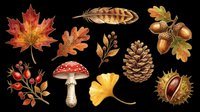 Autumn nature clipart set with maple leaf, mushroom, pine cone, acorns, feather, and chestnut, isolated on transparent background, ready for seasonal designs and print on demand.