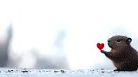 Adorable brown beaver holding small red heart against snowy winter background, creating romantic wildlife scene for Valentine's Day or love concept designs.