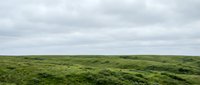 Vast rolling green hills under overcast sky, expansive landscape for nature, travel, and environmental design projects.
