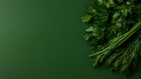 Fresh green dill and parsley herbs on dark green background with copy space. Natural organic cooking ingredients for healthy cuisine.