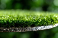 Vibrant green moss covering a weathered branch with shallow depth of field, ideal for nature and botanical backgrounds.