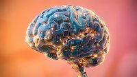 Digital brain with glowing neural networks and circuit patterns on gradient background for technology and artificial intelligence concepts.