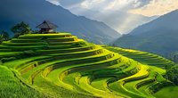 Vibrant green terraced rice fields cascade down mountainside with traditional wooden hut and dramatic sunlit clouds over misty valley landscape.