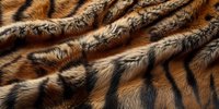Natural tiger fur texture with black stripes and orange-brown coloring showing detailed hair pattern and soft fluffy surface. Suitable for fashion and textile design.