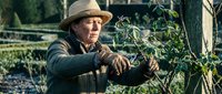 Mature male farmer in straw hat tending vegetable garden with wooden fence, rural agricultural lifestyle and sustainable farming practices.