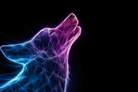 Glowing neon wolf head with gradient blue and pink light effect on black background, digital art style showing howling predator in wireframe design.