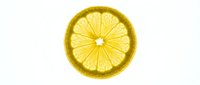 Fresh lemon slice cross section isolated on white background, showing vibrant yellow citrus texture, segments, and juicy pulp in macro detail.