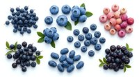 Assorted fresh berries including blueberries and red currants with green leaves isolated on white background, suitable for food, nutrition, and culinary design projects.