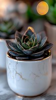 Succulent plant in elegant marble-pattern ceramic pot with gold trim against blurred background, soft natural lighting creates dreamy atmosphere and bokeh effect.
