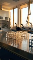 Laboratory test tubes in rack on metal counter with microscope and equipment in modern research facility background for scientific analysis.