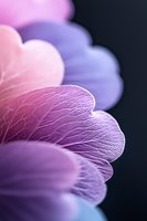 Delicate purple and pink flower petals with intricate vein patterns in macro photography against dark background, creating soft dreamy romantic atmosphere.