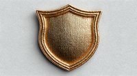 Golden shield emblem with ornate border on light gray background, isolated for design projects in branding, security, or heraldry applications.