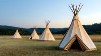 Traditional white teepees standing in golden grass field against mountain landscape at sunset, native american dwelling structures in natural environment.
