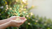 Hands holding glowing tree with golden light, symbolizing growth, sustainability, and environmental care for eco-friendly business concepts.