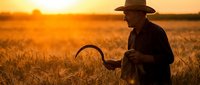 Farmer with scythe harvesting wheat field at golden sunset. Traditional agriculture and rural farming lifestyle in warm evening light.