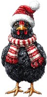 Black chicken wearing Santa hat and striped winter scarf, festive holiday farm animal character on isolated background for seasonal greeting cards and decor.