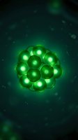Glowing green molecular structure with luminous spheres on dark background for science and technology concepts.