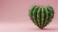 Heart-shaped cactus with spines on pink background. Concept for love hurts, complicated relationships, Valentine's Day with twist. Isolated design element.