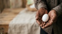 Farmer holding fresh white egg in weathered hands on rural farm, agricultural production and organic food concept for farming industry.