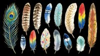 Colorful watercolor feathers collection isolated on transparent background, ready for stickers, t-shirt design, clipart, sublimation, and print on demand use.